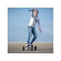 Peter Lynn Hornet 4-Leiner mit Handles 6m