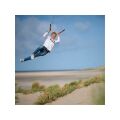 Peter Lynn Twister 4-Leiner mit Handles 5m