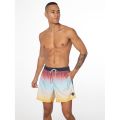 Protest Herren Boardshort Prtyouenn multicolor L