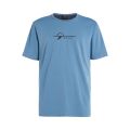 Protest Herren Surf T-Shirt PRTLEGUNDI blau XL