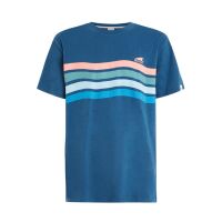 Protest Herren T-Shirt PRTEXMOUTH blau S
