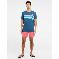 Protest Herren T-Shirt PRTEXMOUTH blau S