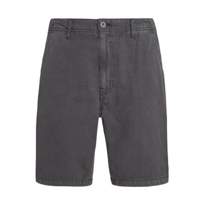 Protest Herren Shorts PRTCOMIE grau S