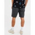 Protest Herren Shorts PRTCOMIE grau XL