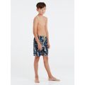 Protest Jungen Beachshort PRTACID JR blau 116