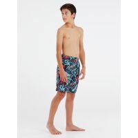 Protest Jungen Beachshort PRTBART JR grau 104