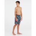 Protest Jungen Beachshort PRTBART JR grau 104