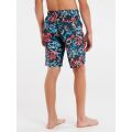 Protest Jungen Beachshort PRTBART JR grau 104