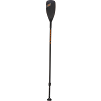 Carbon Paddle 2pc